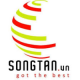 Công ty TNHH Song Tấn