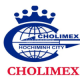 CÔNG TY CP ĐẦU TƯ VÀ XÂY DỰNG CHOLIMEX