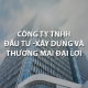 Công Ty TNHH Đầu Tư - Xây Dựng Và Thương Mại Đại Lợi