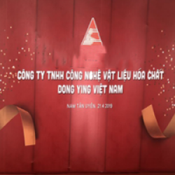 Công ty TNHH Công Nghệ Vật Liệu Hoá Chất Dong Ying Việt Nam