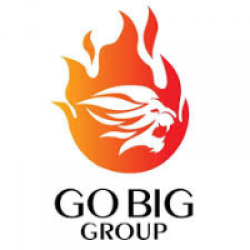 Gobig Group