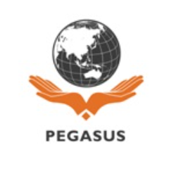 PEGASUS INVESTMENT AND CONSULTANCY JSC