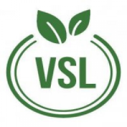 Công ty TNHH Thương mại và Dịch vụ VSL Việt Nam