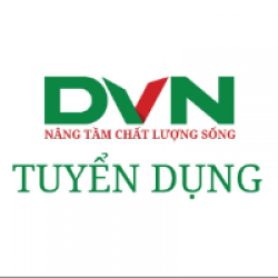 Công ty TNHH DVN Việt Nam