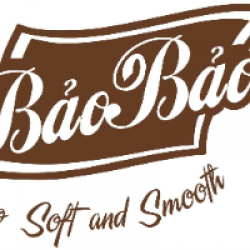 CÔNG TY TNHH SẢN XUẤT THƯƠNG MẠI GIẤY BẢO BẢO