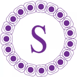 CÔNG TY TNHH SIRI LOGISTICS