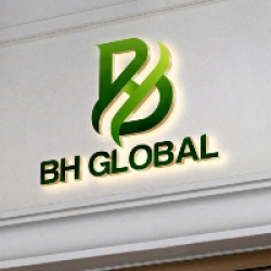 Công ty TNHH BH Global
