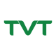 Công Ty TNHH TVT Holdings