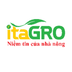 Kế Toán Thuế - Lương Thỏa Thuận Đến 15 Triệu