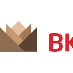 Công ty Cổ phần Gỗ BKG