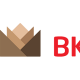 Công ty Cổ phần Gỗ BKG