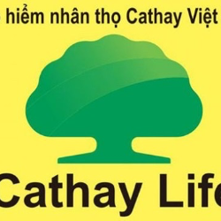 CTY TNHH BHNT CATHAY VIETNAM