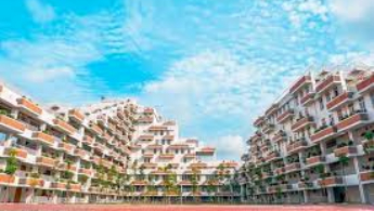 Tổ chức Giáo dục FPT