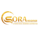 Công Ty Cổ Phần Đầu Tư Sora Holding