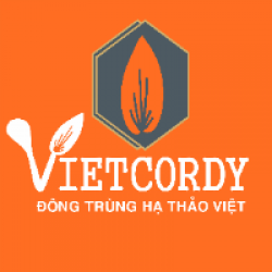 Công ty Cổ phần Đầu tư và Thương mại Vietcordy