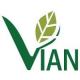 VIAN COMPANY