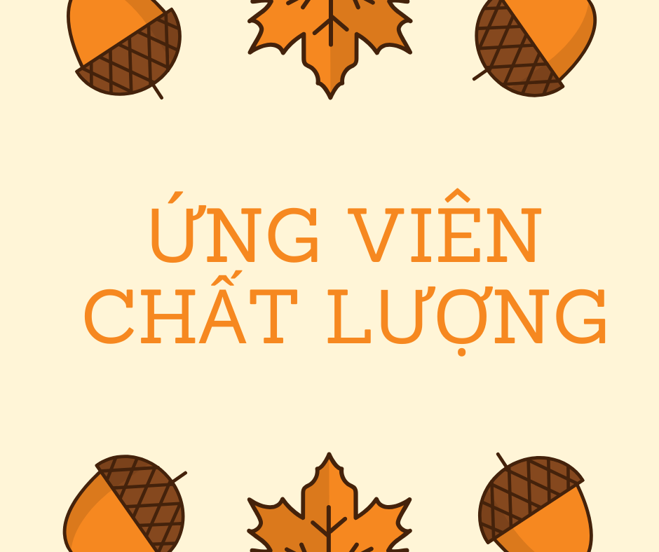 Tư Vấn Tuyển Dụng TPHCM