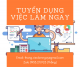 Tư Vấn Tuyển Dụng TPHCM