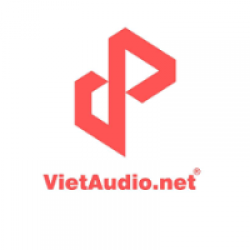 Công ty TNHH âm thanh Việt Audio