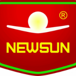 Công ty kĩ thuật New Sun