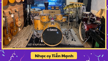 Công Ty TNHH Thương Mại Và Xuất Nhập Khẩu Nhạc Cụ Tiến Mạnh.