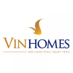 Vinhomes Holdings