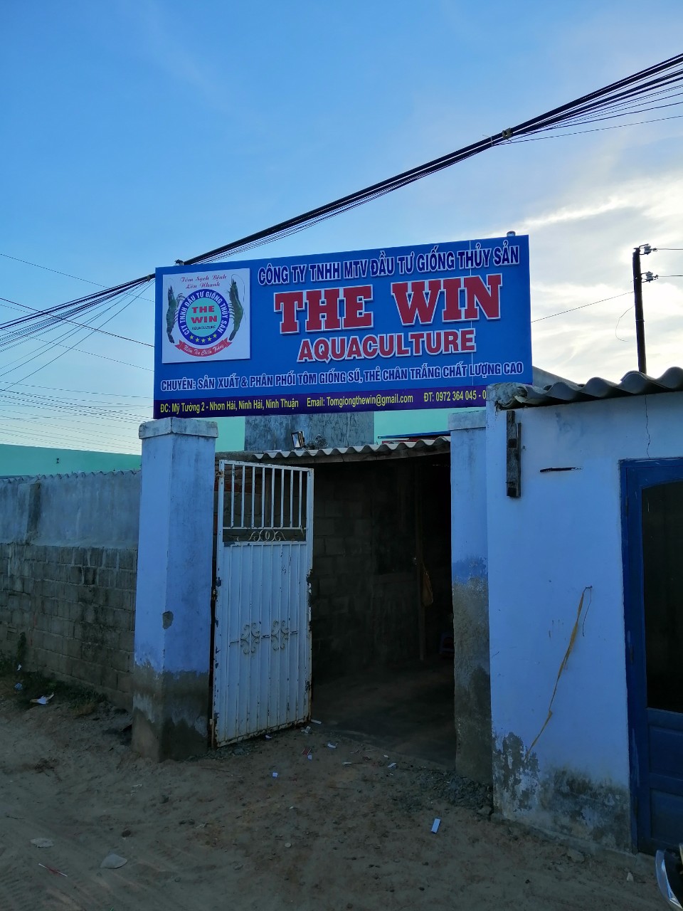 Công Ty Trách Nhiệm Hữu Hạn Đầu Tư Giống Thủy Sản THE WIN AQUACULTURE