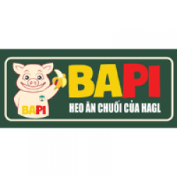 CÔNG TY CỔ PHẦN BAPI HOÀNG ANH GIA LAI