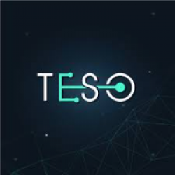Công ty cổ phần công nghệ & giải pháp TESO