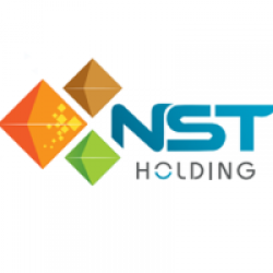 Công ty TNHH Xây dựng và phát triển nhà NST Holding