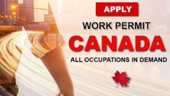 ĐỖ Visa - CANDO Visa Service