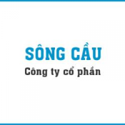 CÔNG TY CỔ PHẦN SÔNG CẦU