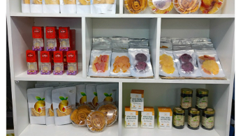 Global Moving Logistics