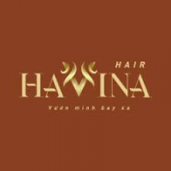 Công ty TNHH Havina Hair