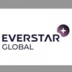 Công ty Cổ phần Everstar Global