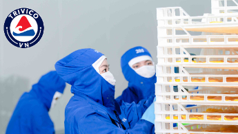 Công ty TNHH Trinity Vietnam