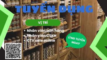 CÔNG TY TNHH NƯỚC GIẢI KHÁT TINGCO