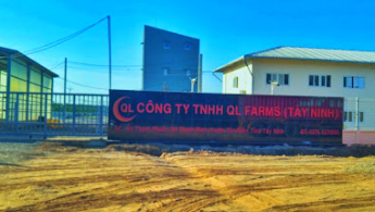 Công ty TNHH QL Farms (Tây Ninh)