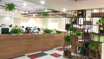 Công ty TNHH Tuệ Linh