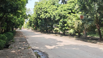 Công ty cổ phần tập đoàn  Thành Long