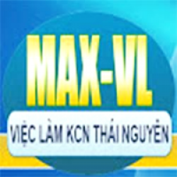 Công ty TNHH Han Viet Mold Vina