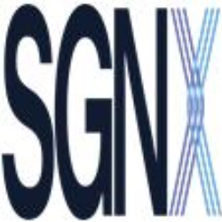 Công ty Cổ phần Tư vấn Đầu tư SGNX
