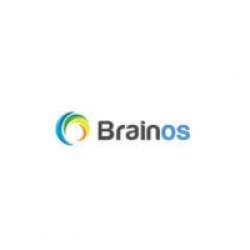 Công ty TNHH Giải Pháp Brainos