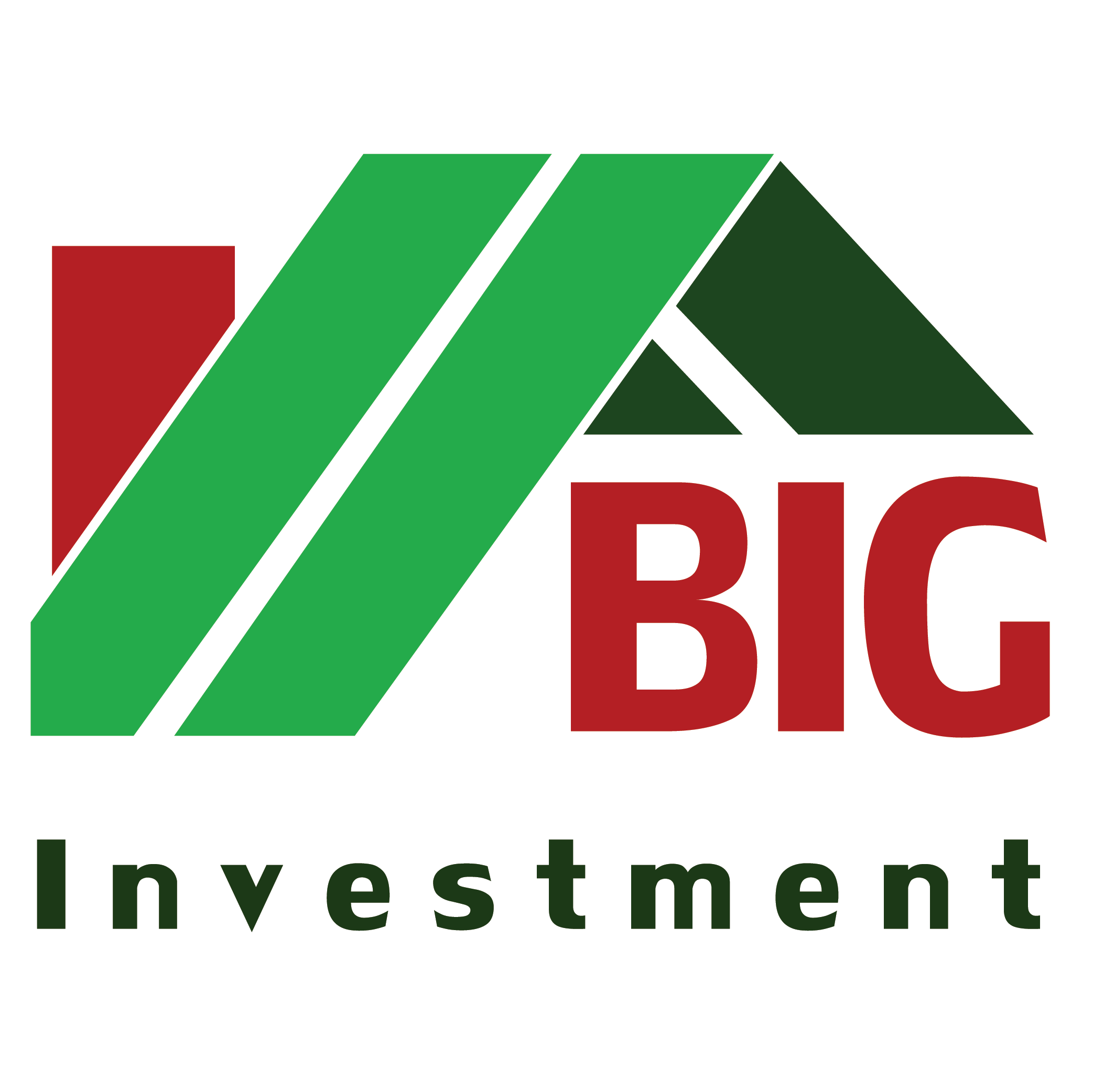 Công Ty Cổ Phần Địa Ốc BIG