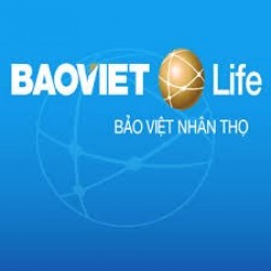 Bảo Việt Nhân Thọ TP Hồ Chí Minh