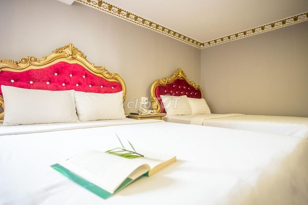 Phung Hoang Hotel