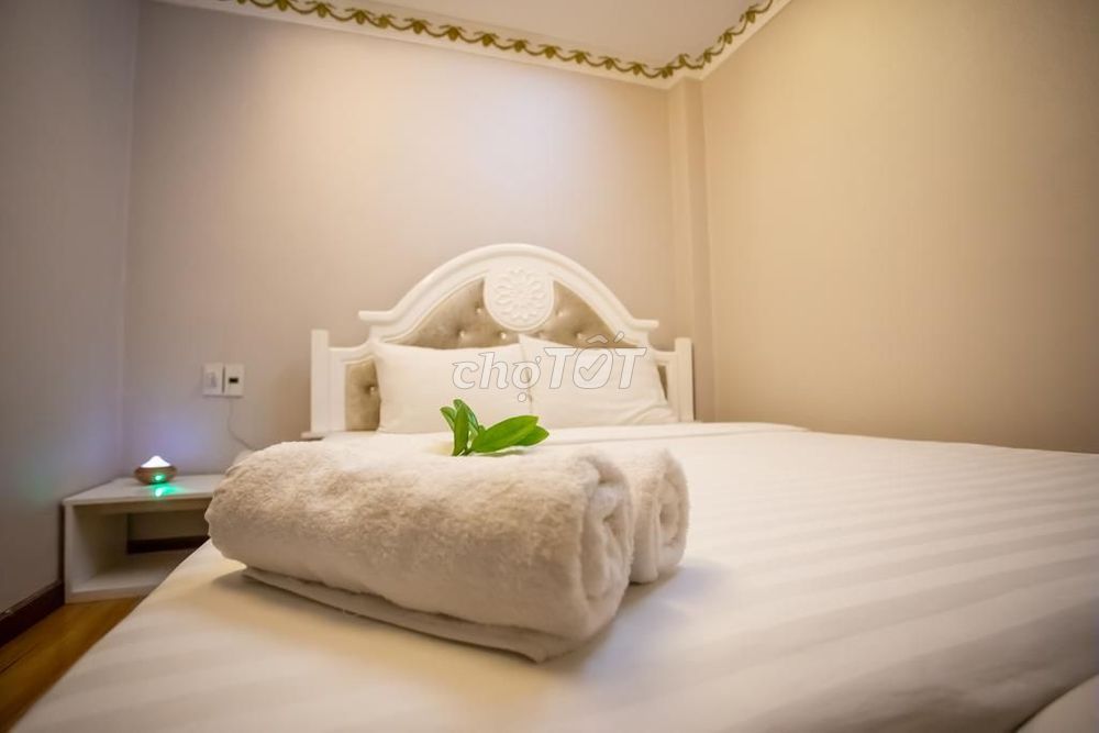 Phung Hoang Hotel