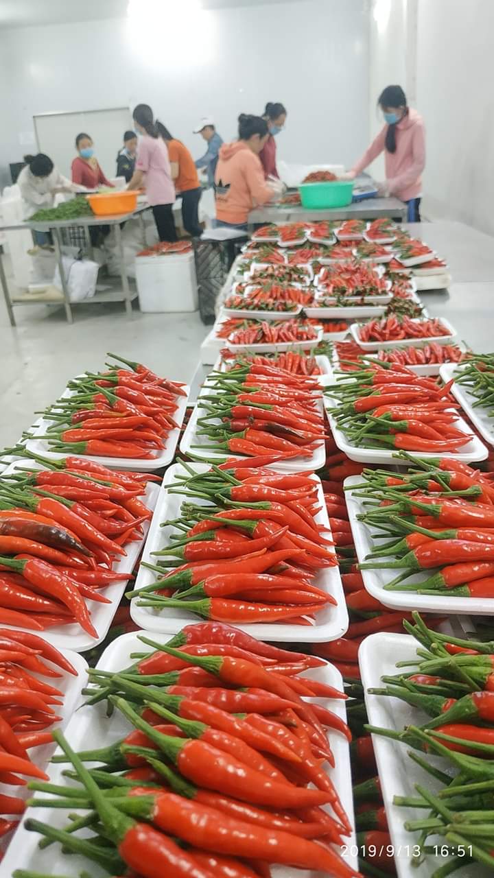 May Export Vietnam Co.,LTD