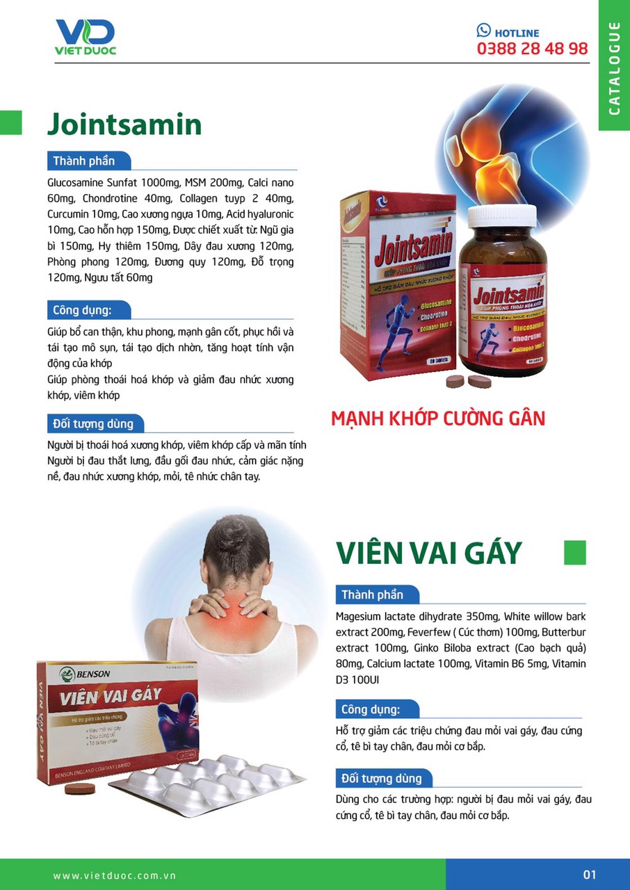 Công Ty TNHH Dược Phẩm Việt Dược