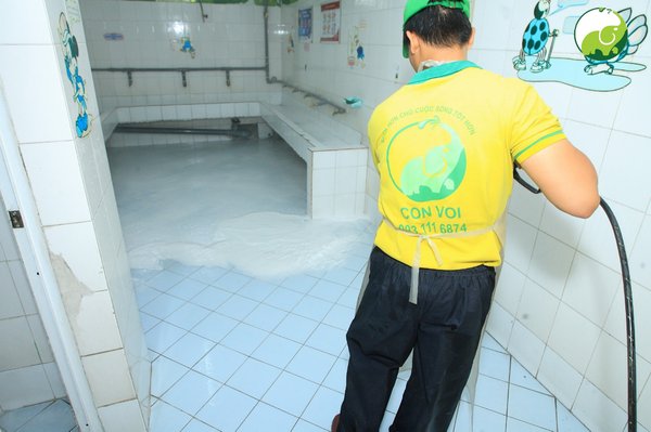 Công ty CP Giải pháp Con Voi